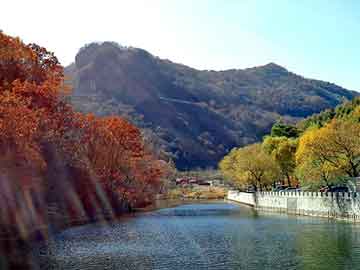 澳彩资料免费长期公开，都市神医小说